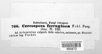 Passalora ferruginea image